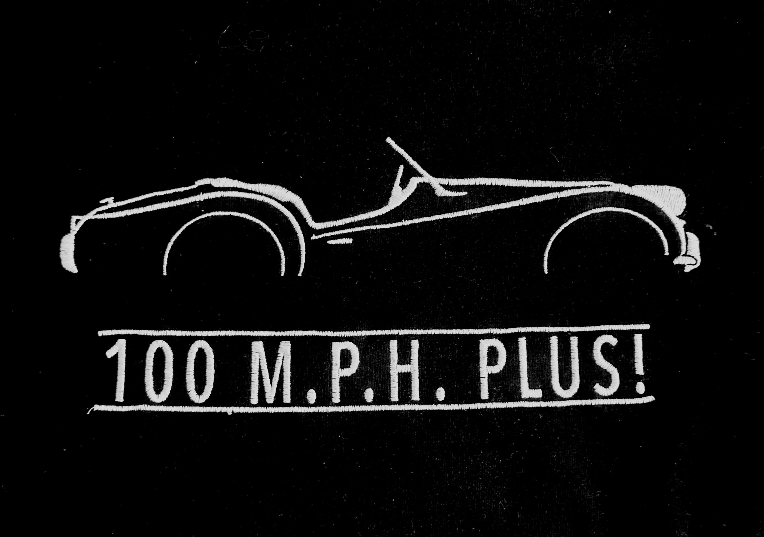 Streng limitiertes Hoodie, nur 50 Exemplare, Triumph Stag, Vorderseite und Ärmel edel bestickt – Bild 23